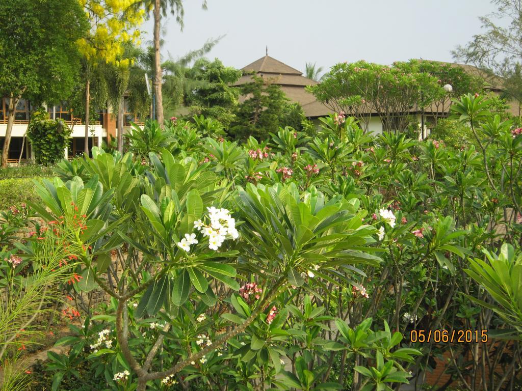 Aye Yar River View Resort Bagan Eksteriør billede